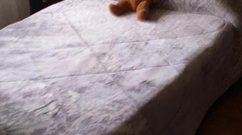 Apartment to share in Calle Rosal, 27, Fontán, Asturias - image 3 Photo 3 of Apartment to share in Calle Rosal, 27, Fontán, Asturias