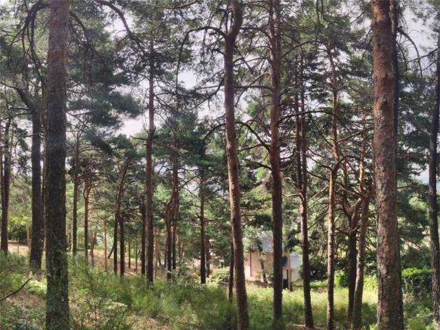 Terreno en Venta en Calle de la Cumbre, 3 en Miraflores de la Sierra