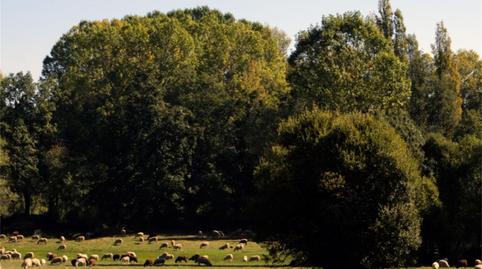 Casa o chalet de alquiler en Diseminado Diseminados, 24, Cobreros, Zamora - imagen 4 Foto 4 de Casa o chalet de alquiler en Diseminado Diseminados, 24, Cobreros, Zamora