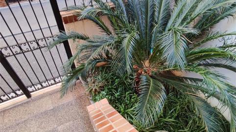 Flat for sale in Avenida Central, 9, Costa Marfil, Castellón - image 4 Photo 4 of Flat for sale in Avenida Central, 9, Costa Marfil, Castellón