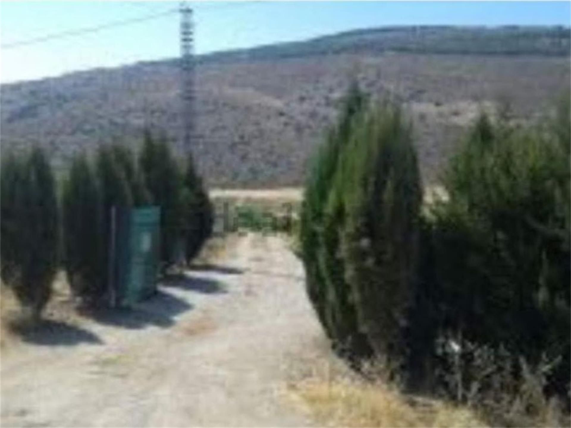 Land for sale in Alfarnate