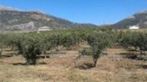 Photo 2 of Land for sale in Alfarnate, Málaga