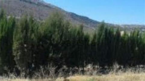 Photo 3 of Land for sale in Alfarnate, Málaga