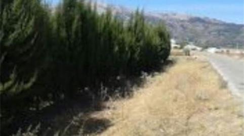 Photo 4 of Land for sale in Alfarnate, Málaga