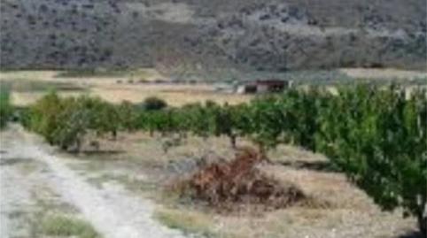 Photo 5 of Land for sale in Alfarnate, Málaga