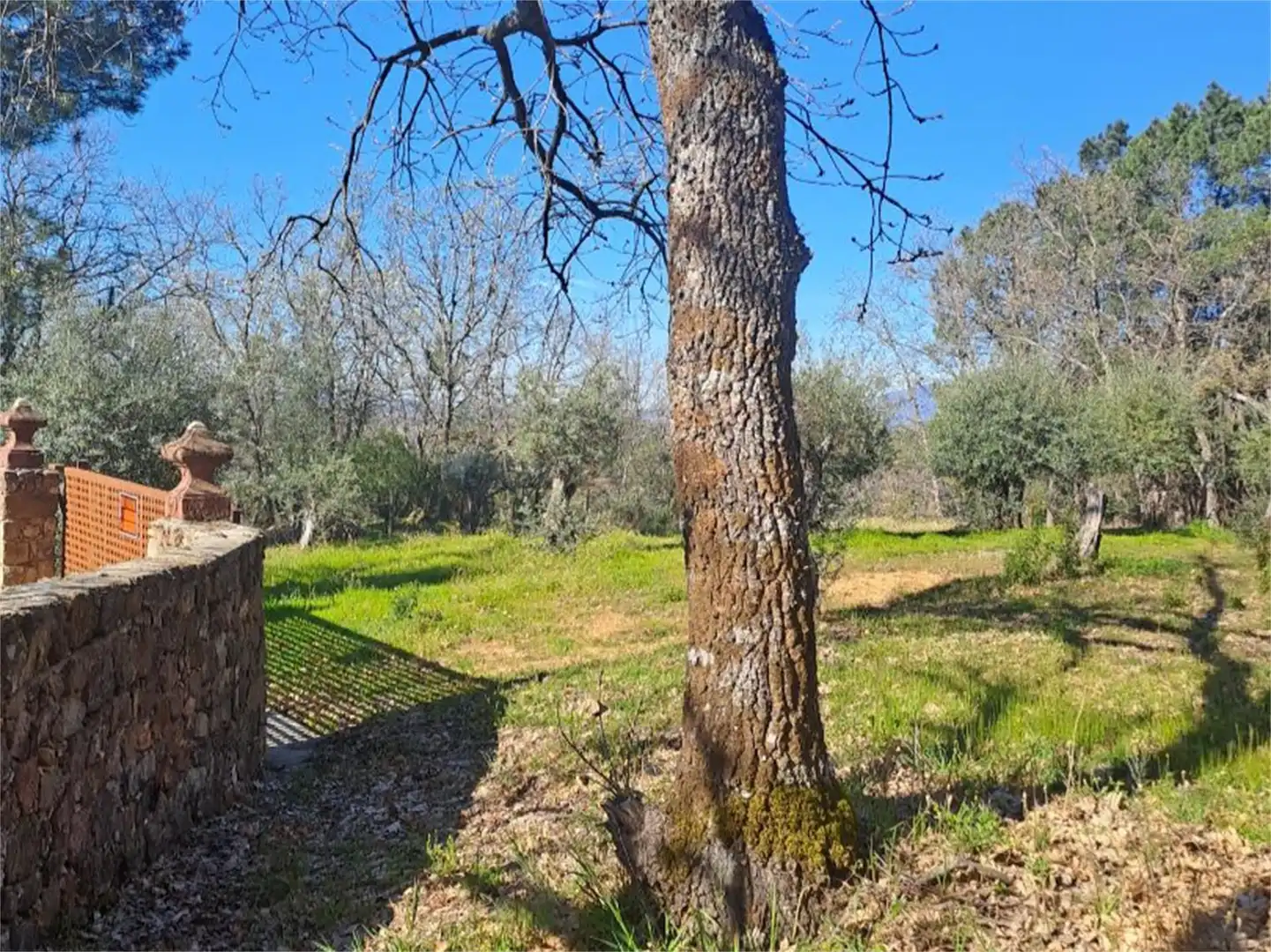 Terreno en venta en Poyales del Hoyo Terreno en venta en Poyales del Hoyo