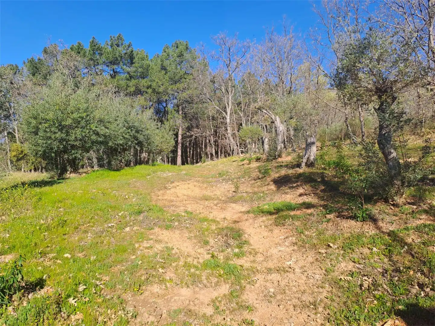 Terreno en venta en Poyales del Hoyo Terreno en venta en Poyales del Hoyo