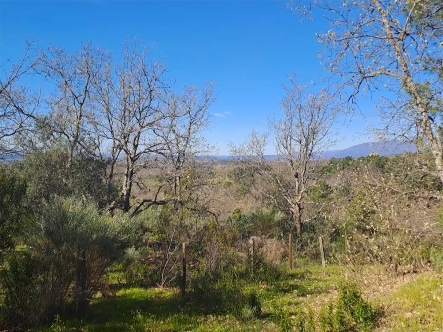 Terreno en venta en Poyales del Hoyo Terreno en venta en Poyales del Hoyo