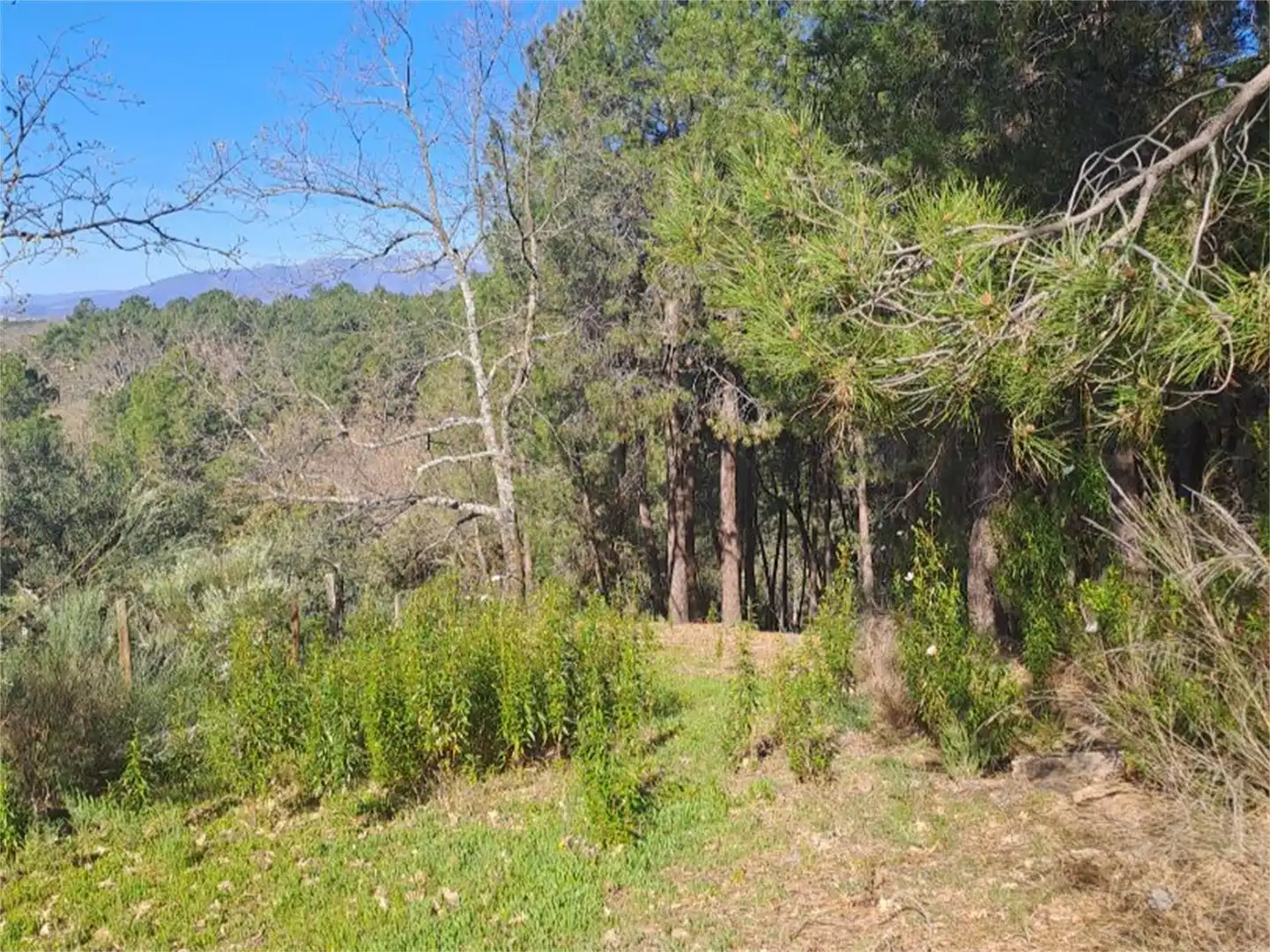 Terreno en venta en Poyales del Hoyo Terreno en venta en Poyales del Hoyo