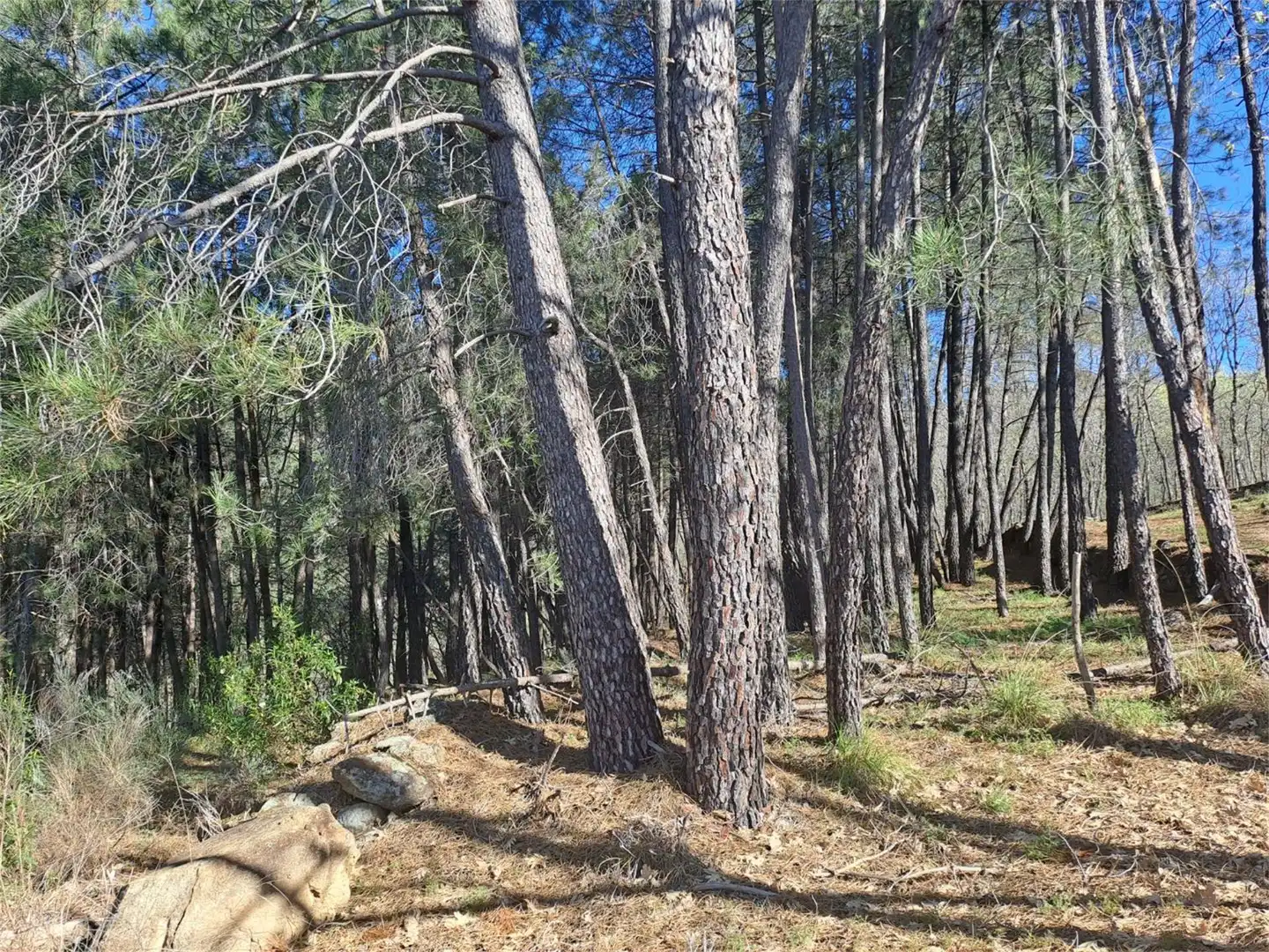 Terreno en venta en Poyales del Hoyo Terreno en venta en Poyales del Hoyo
