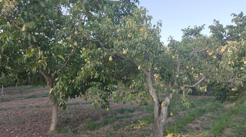 Land for sale in Plaza del Ahorro, 1, Casco Histórico, Málaga - image 3 Photo 3 of Land for sale in Plaza del Ahorro, 1, Casco Histórico, Málaga