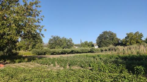 Land for sale in Plaza del Ahorro, 1, Casco Histórico, Málaga - image 4 Photo 4 of Land for sale in Plaza del Ahorro, 1, Casco Histórico, Málaga