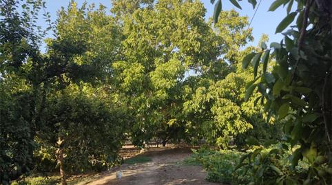 Land for sale in Plaza del Ahorro, 1, Casco Histórico, Málaga - image 5 Photo 5 of Land for sale in Plaza del Ahorro, 1, Casco Histórico, Málaga