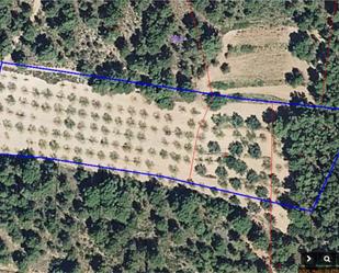 Land for sale in Caudiel