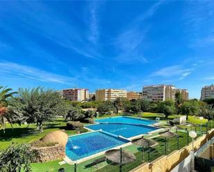 Swimming pool of House or chalet for sale in Torrevieja  with Air Conditioner, Terrace and Swimming Pool