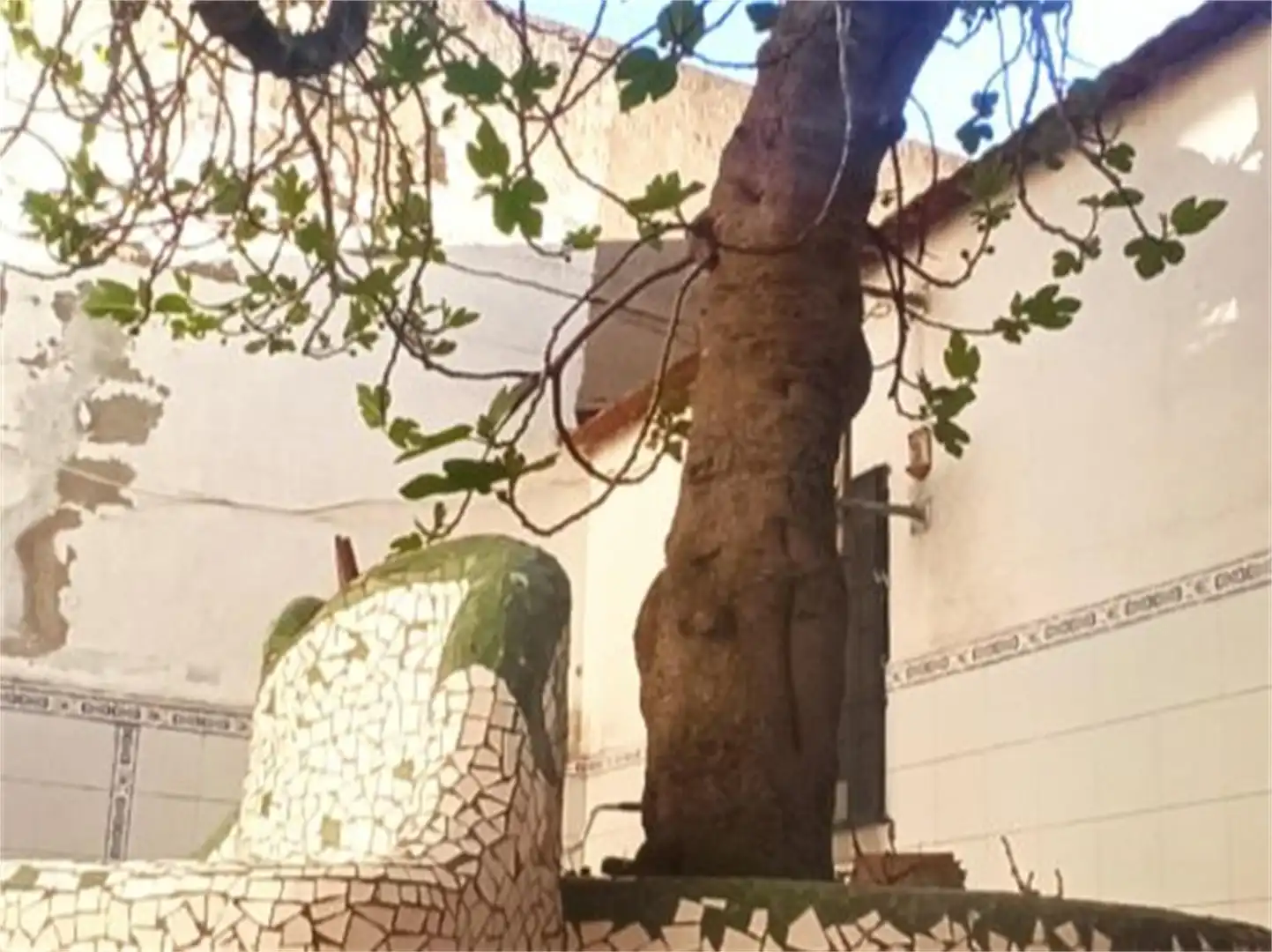 Jardín de Casa adosada en venta en El Robledo   con Aire acondicionado, Jardín privado y Amueblado