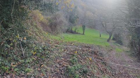 Foto 2 de Finca rústica en venta en Lugar Nullán, 3, As Nogais , Lugo