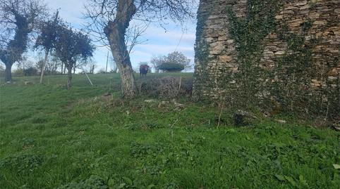 Foto 5 de Finca rústica en venta en Lugar Nullán, 3, As Nogais , Lugo