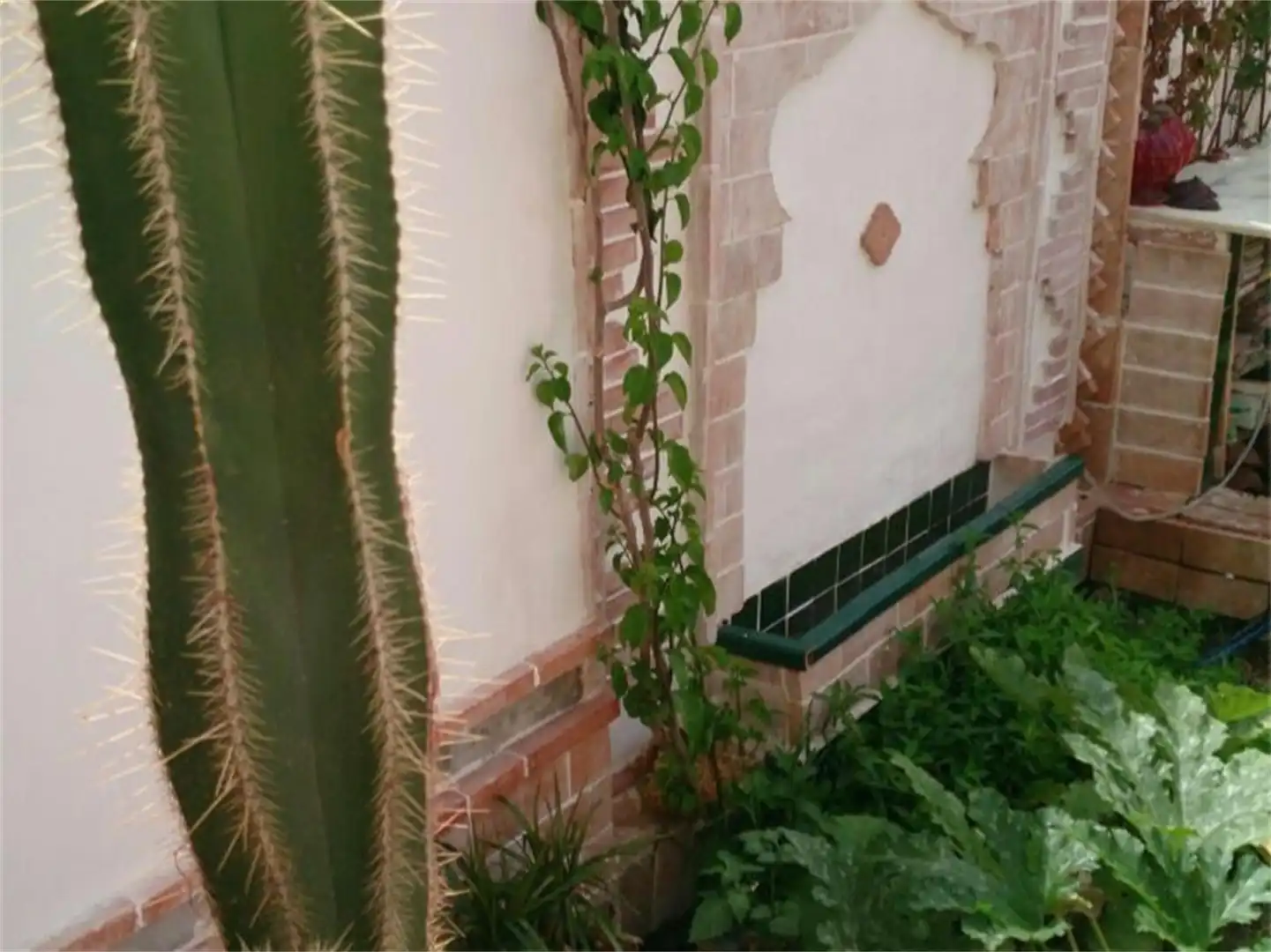 Flat for rent in Avenida Montemar, 35, Calabardina Garden of Flat for rent in Águilas with Air Conditioner, Private garden and Furnished