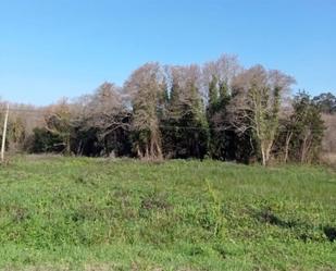 Land for sale in Ribeira