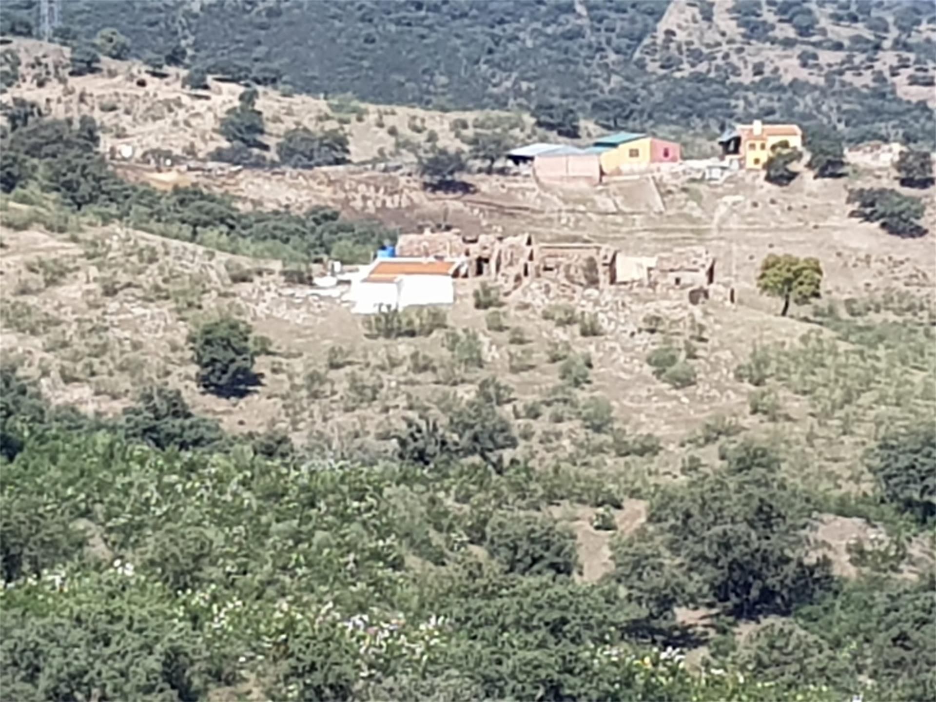 Vista exterior de Casa o xalet en venda en Solana del Pino amb TV