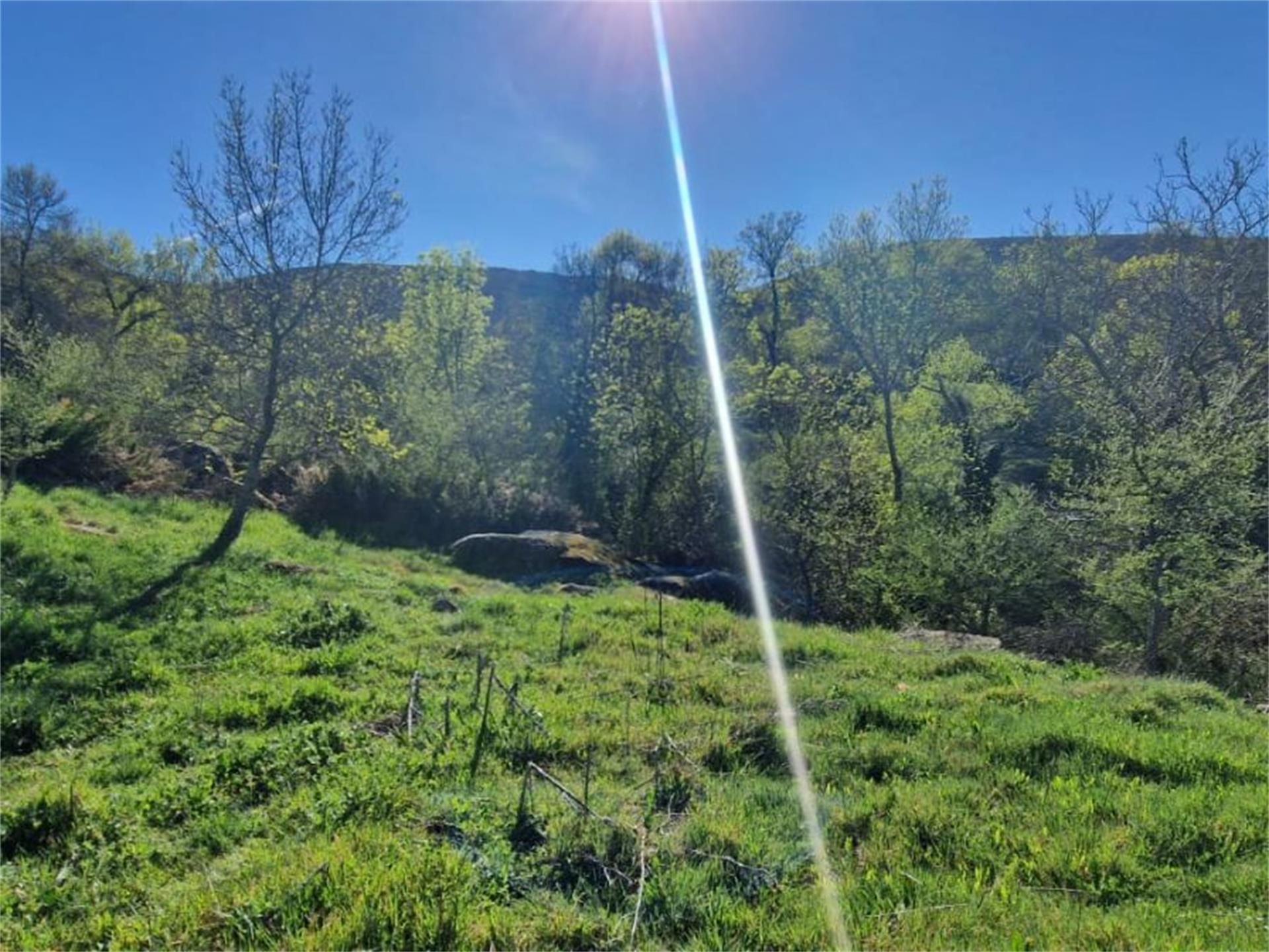 Non-constructible Land for sale in San Pablo de los Montes