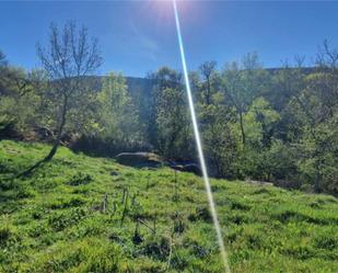 Non-constructible Land for sale in San Pablo de los Montes