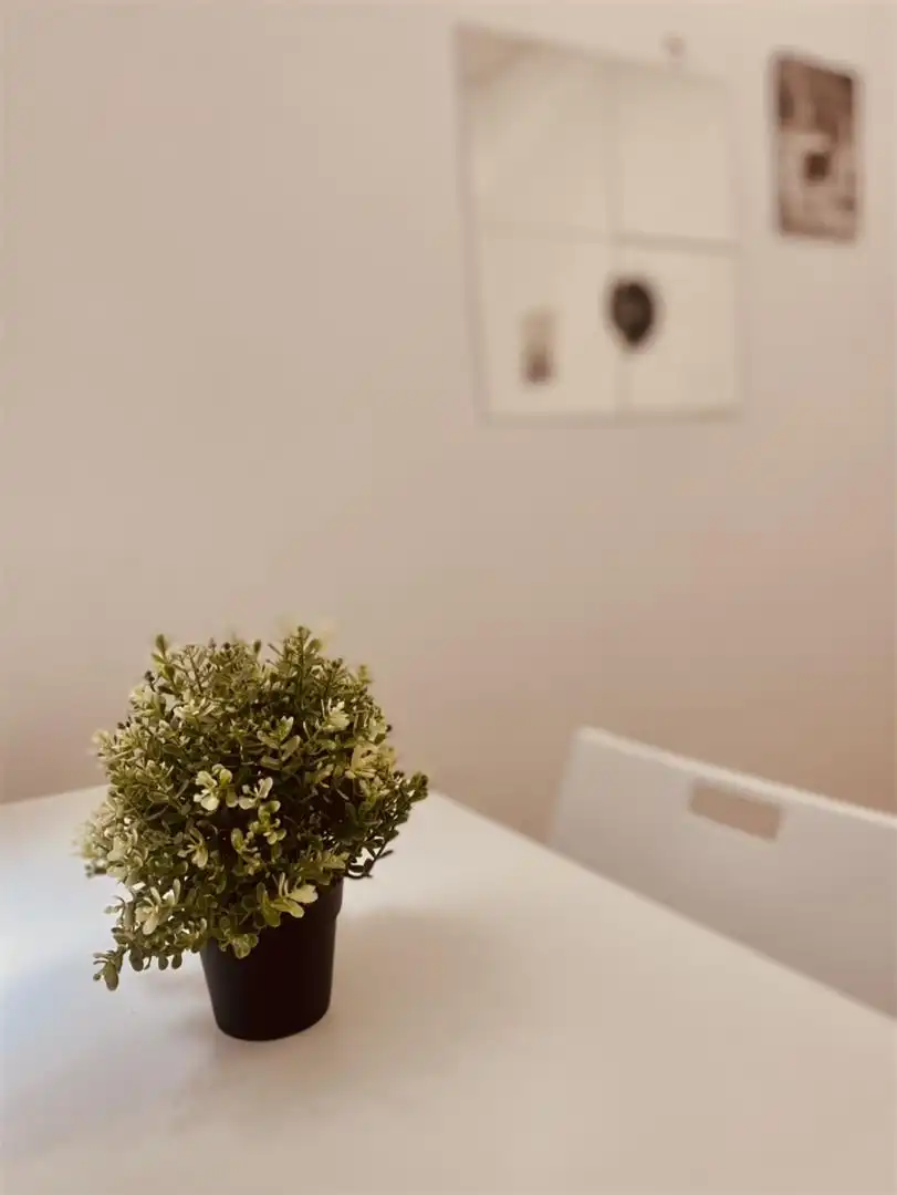 Habitación en Plaza de los Sitios, 1, Paseo Independencia Comedor de Piso para compartir en Zaragoza con Calefacción, Parquet y Trastero