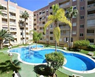 Vista exterior de Pis en venda en Torrevieja amb Aire condicionat, Terrassa i Piscina