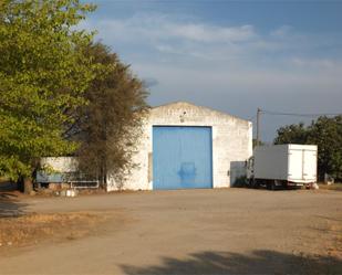 Industrial buildings to rent in Diseminado Piñuelas, 48, Villanueva de la Serena