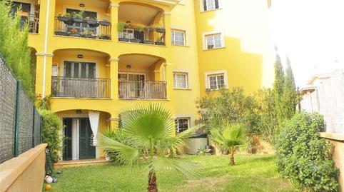 Planta baja for sale in Carrer del Falcó, 5, Maioris-Puig de Ros, Illes Balears - image 5 Photo 5 of Planta baja for sale in Carrer del Falcó, 5, Maioris-Puig de Ros, Illes Balears