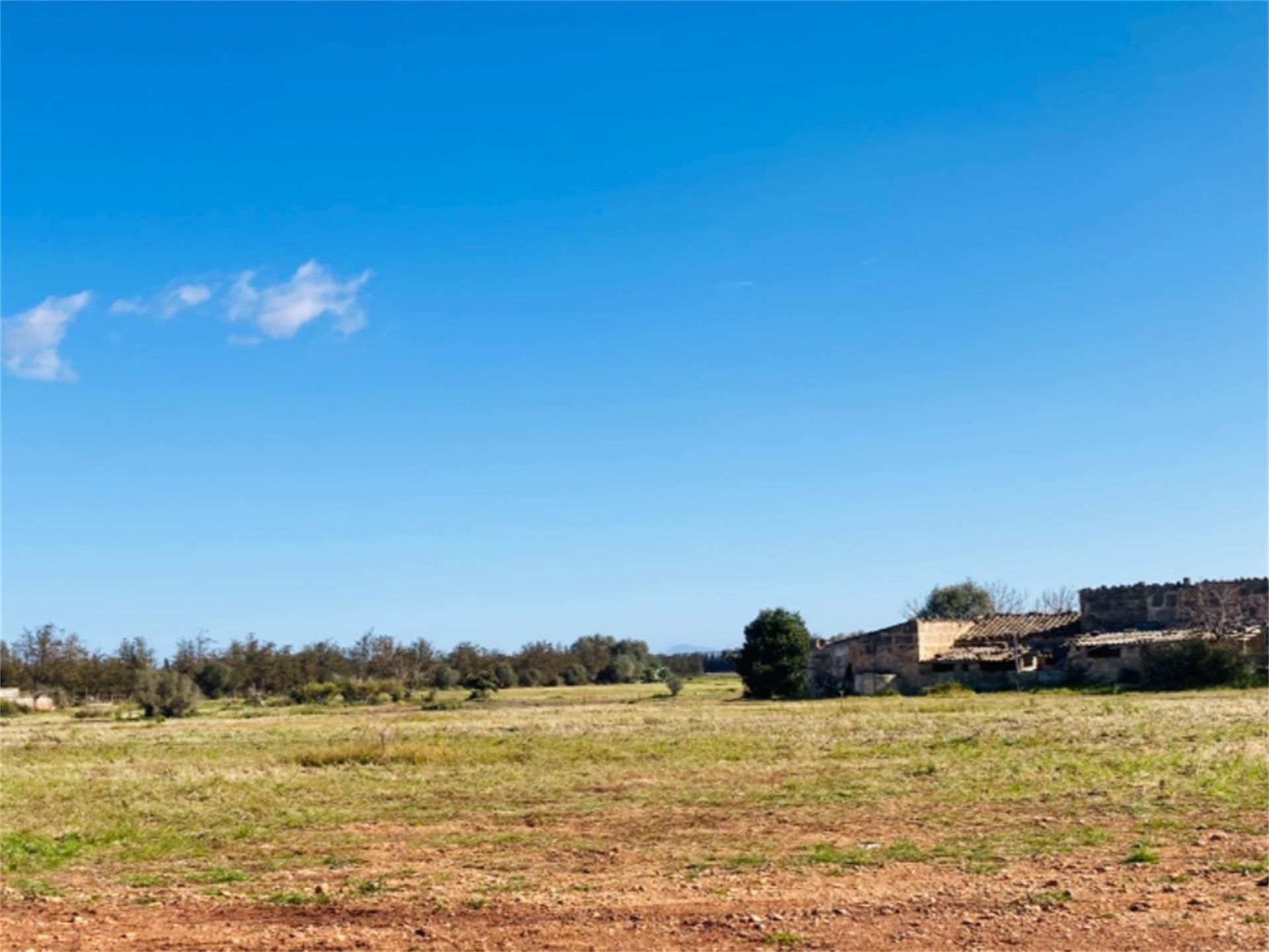 Flat for sale in Sa Pobla