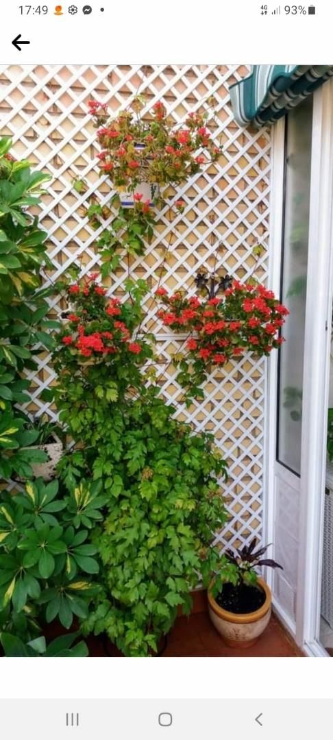 Garden of Flat for sale in Linares  with Air Conditioner, Terrace and Balcony