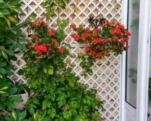 Garden of Flat for sale in Linares  with Air Conditioner, Terrace and Balcony