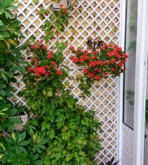 Flat for sale in Calle Ramón Gómez de la Serna, 9, Arrayanes, Jaén - image 1 Photo 1 of Flat for sale in Calle Ramón Gómez de la Serna, 9, Arrayanes, Jaén