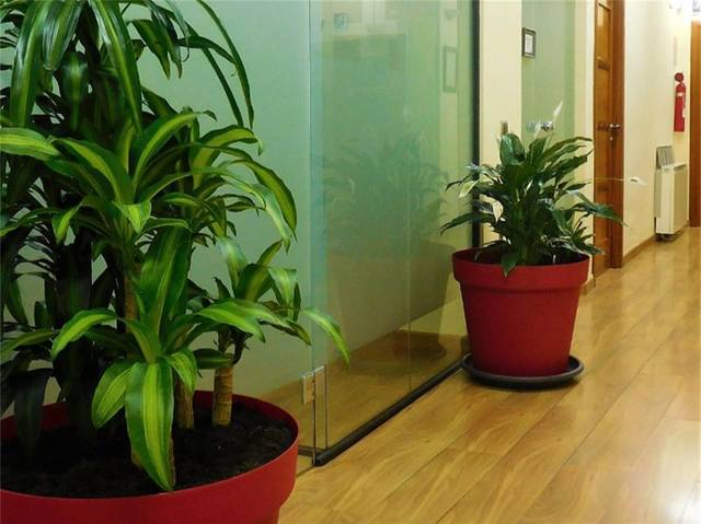 Local comercial en Alquiler en Calle de San Juan, 6 en Puerta Pinto - Valparaíso