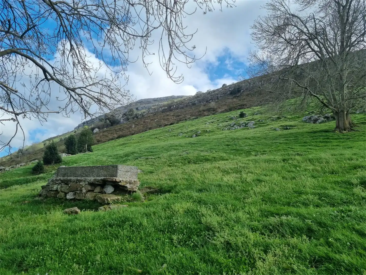 Finca rústica en venta en Barrio Bernillas, 791, Ruesga Finca rústica en venta en Ruesga