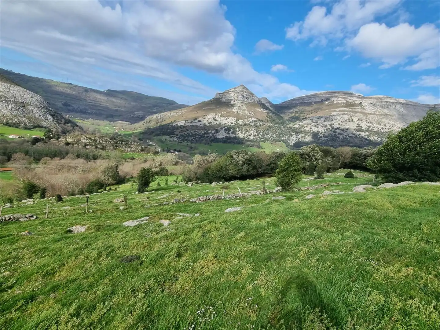 Finca rústica en venta en Barrio Bernillas, 791, Ruesga Finca rústica en venta en Ruesga
