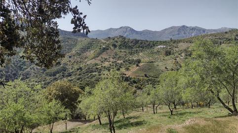 Foto 2 von Grundstücke zum Verkauf in Diseminado Poligono 1, 2, Benadalid, Málaga