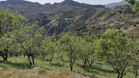 Foto 5 von Grundstücke zum Verkauf in Diseminado Poligono 1, 2, Benadalid, Málaga