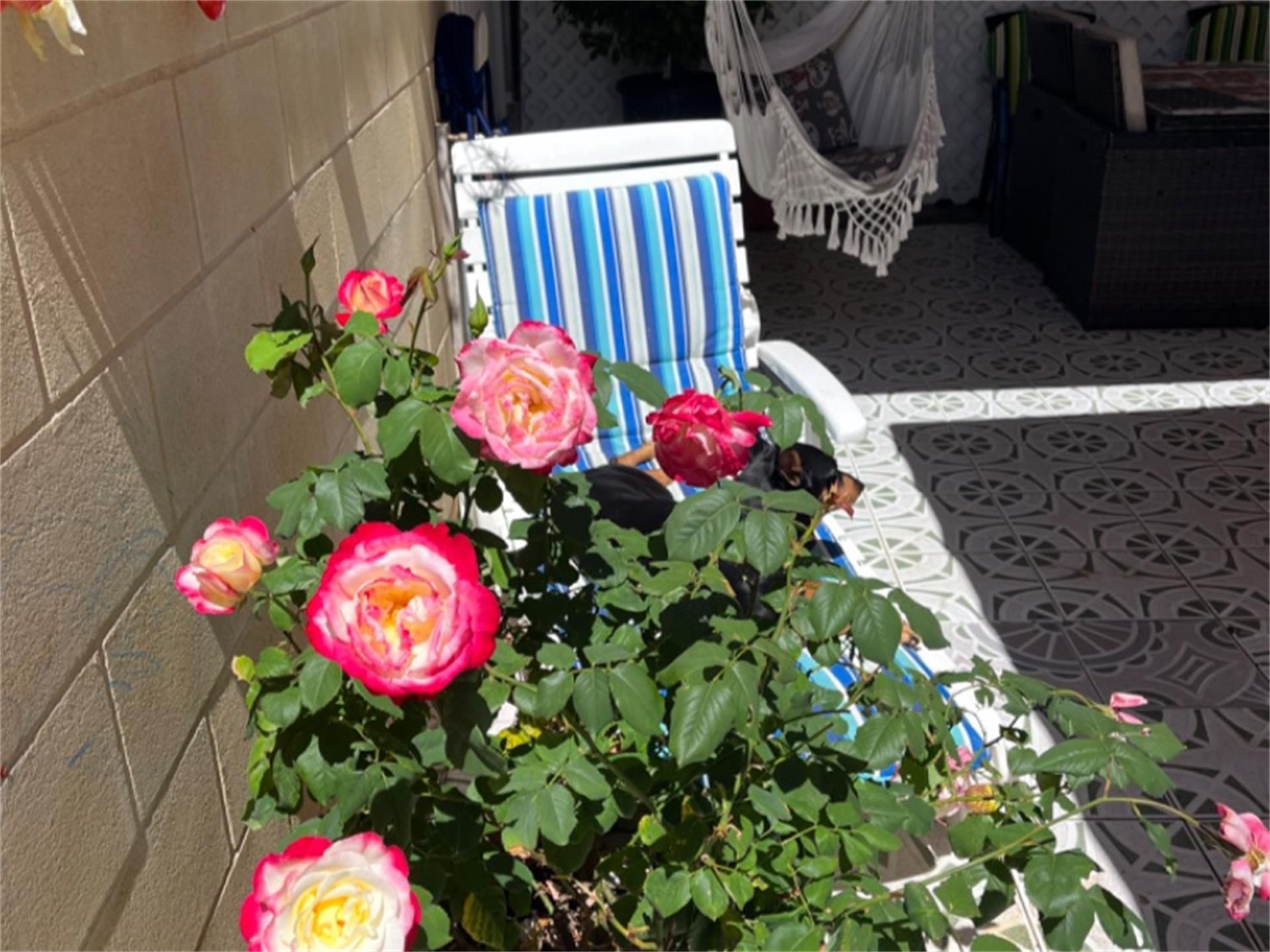 Terrace of Duplex for sale in Torrevieja  with Air Conditioner, Terrace and Storage room