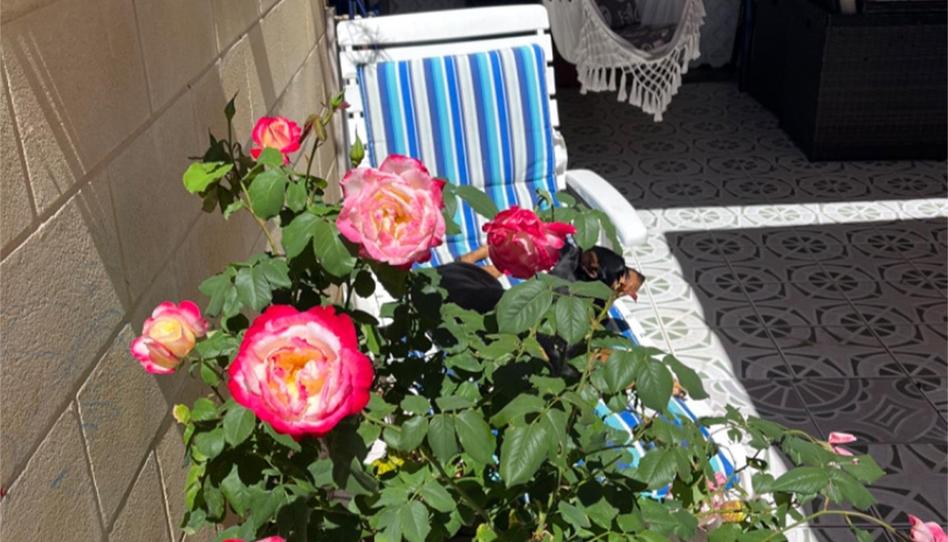 Foto 1 de Dúplex en venda a Calle Manuel Darrigrand, 79, Zona Carrefour - Urbanizaciones, Alicante