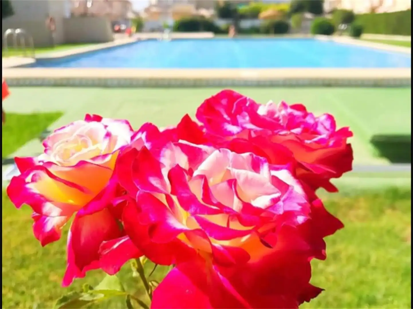 Piscina de Dúplex en venta en Torrevieja con Aire acondicionado, Terraza y Trastero