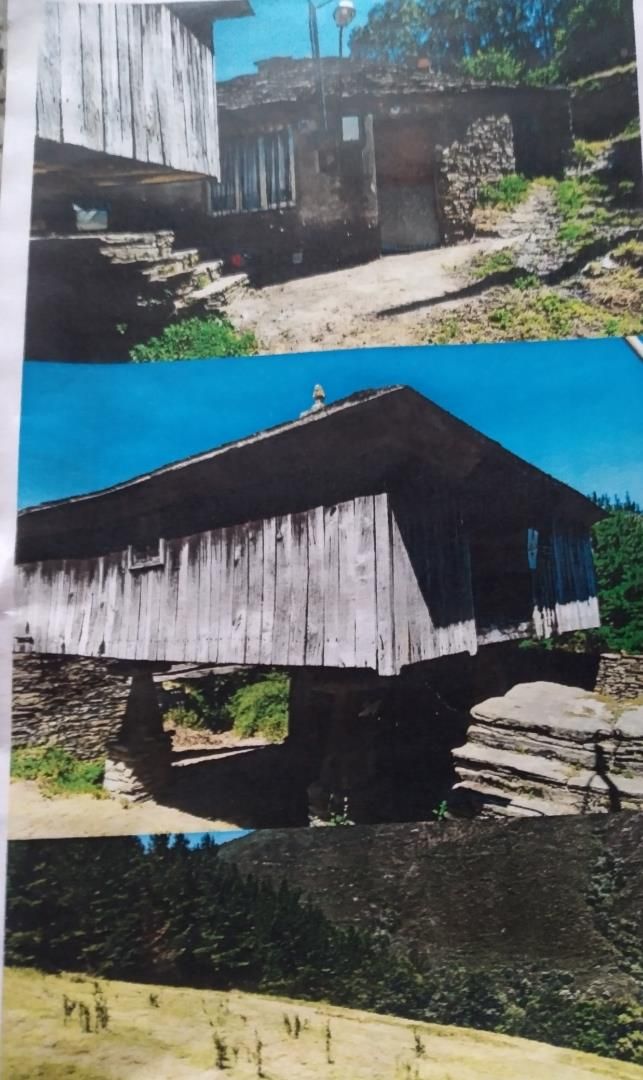 Exterior view of House or chalet for sale in A Fonsagrada 