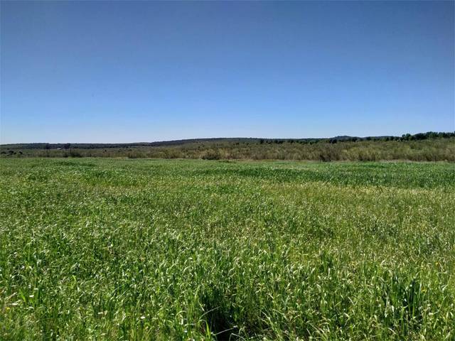 Terreno en Venta en Calzadilla