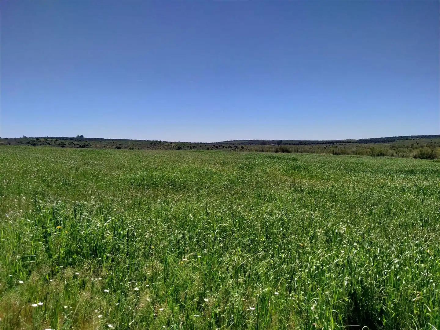 Grundstücke zum Verkauf in Calzadilla Grundstücke zum Verkauf in Calzadilla