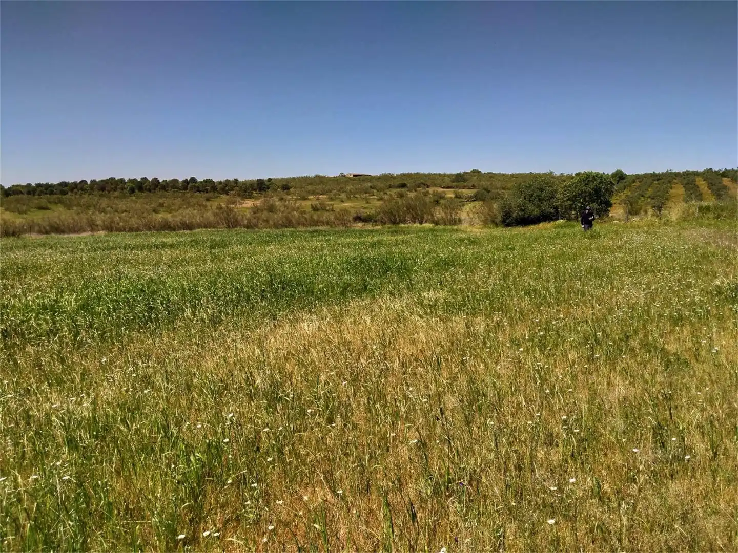 Grundstücke zum Verkauf in Calzadilla Grundstücke zum Verkauf in Calzadilla