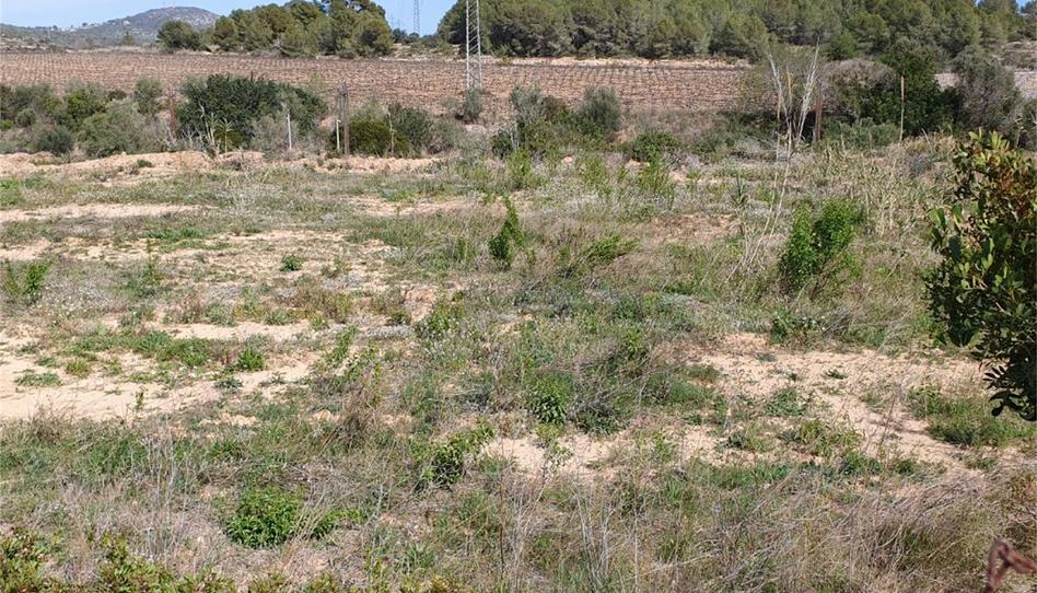 Country house for sale in Carrer Riu Gaià, 3, Nord, Barcelona - image 1 Photo 1 of Country house for sale in Carrer Riu Gaià, 3, Nord, Barcelona