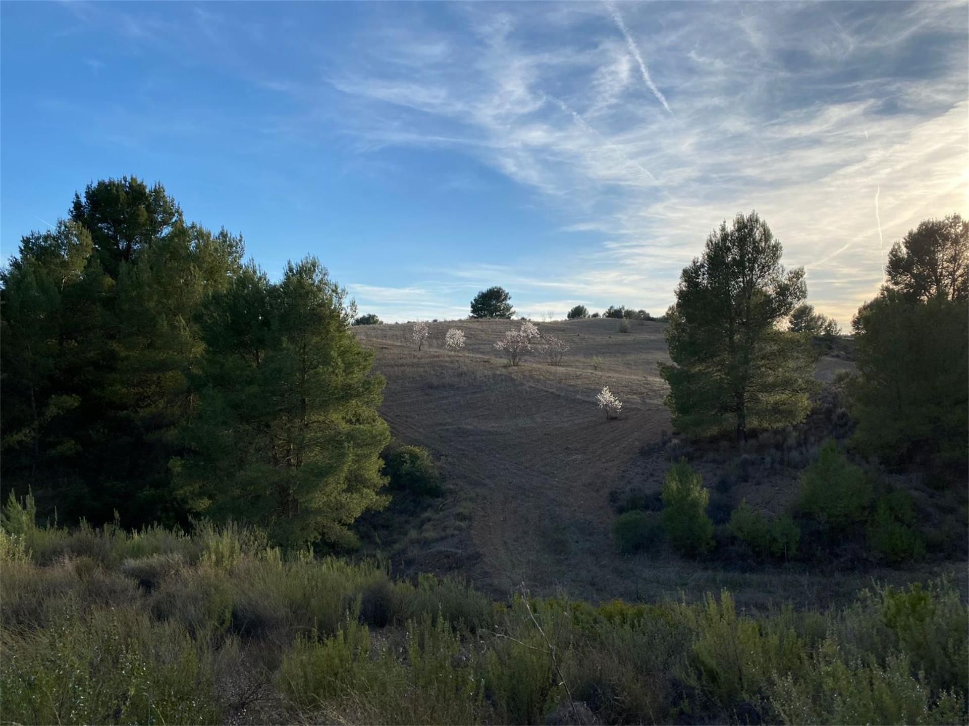 Urbanitzable en venda en Lorca