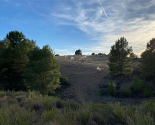 Constructible Land for sale in Lorca